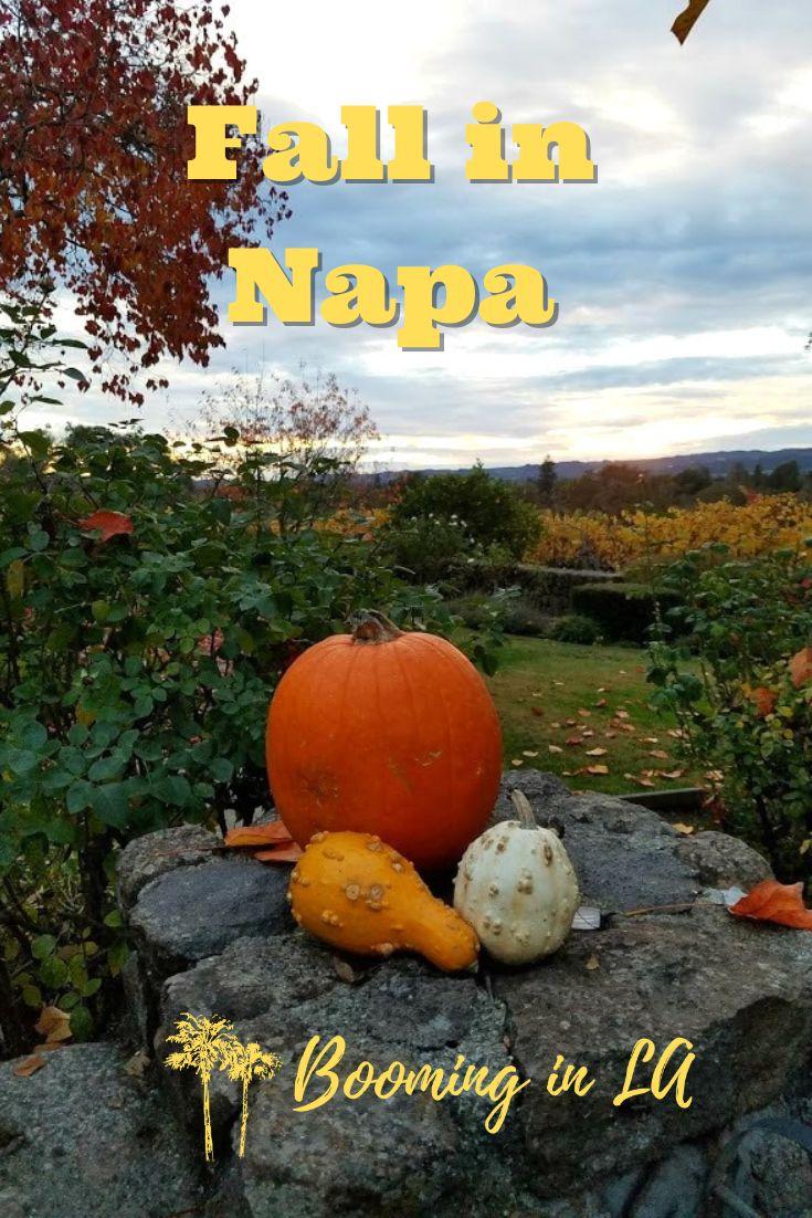 Fall in the Napa Valley