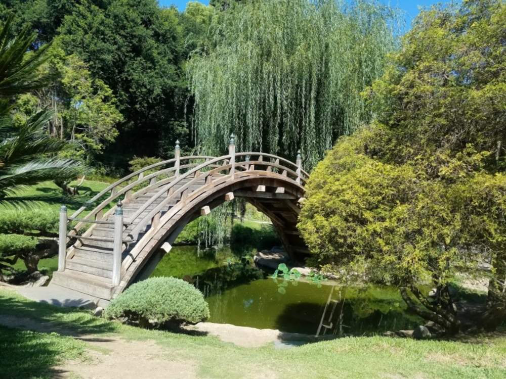 Curved bridge - Japanese Garden - Huntington
