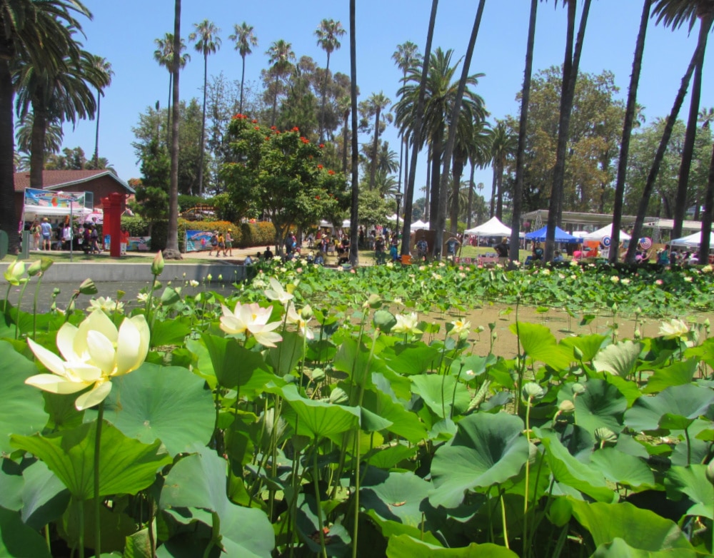 Lotus Festival and vendor tents at Echo Park Lake