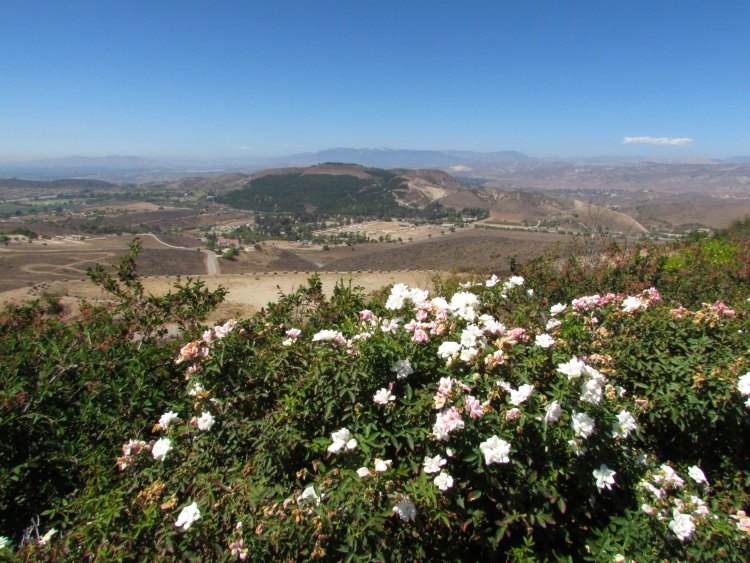 View of Simi Valley from the Ronald Reagan Presidential library