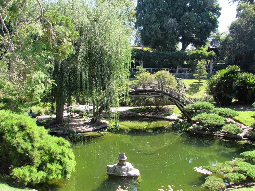 Japanese garden and pond