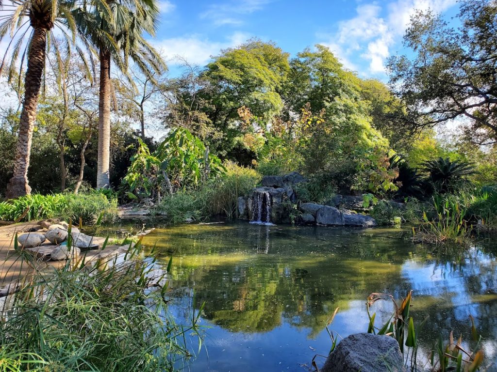 Lake, trees, waterfall