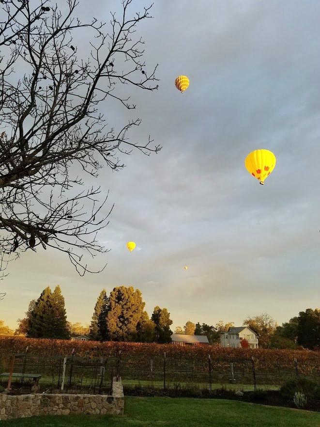 Balloons in the morning over Napa