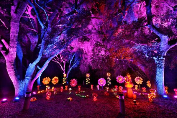 The Best Los Angeles Halloween Events