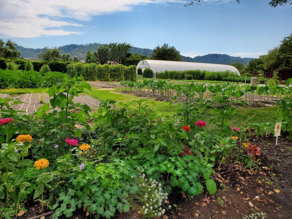 The French Laundry Garden