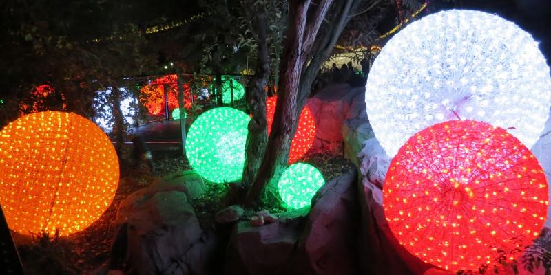 Holiday Events - L.A. Zoo Lights