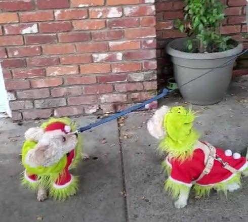 Grinch dogs