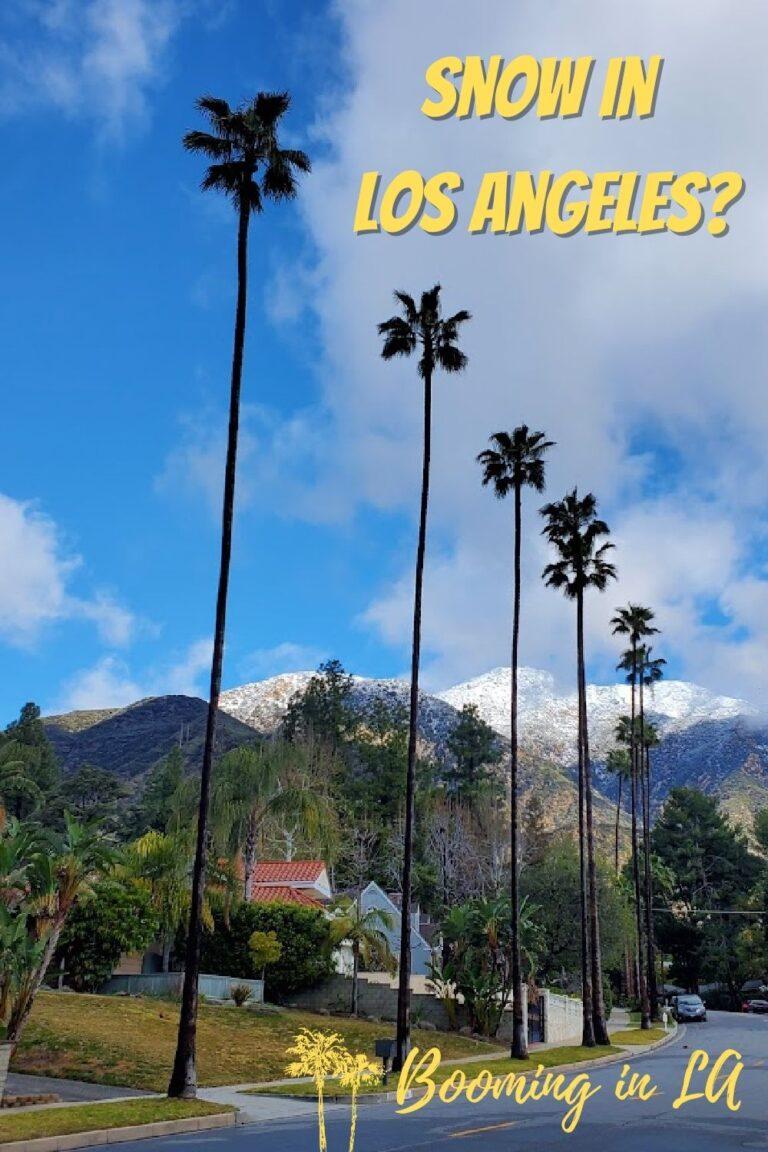 Who Said it Never Snows in Los Angeles?