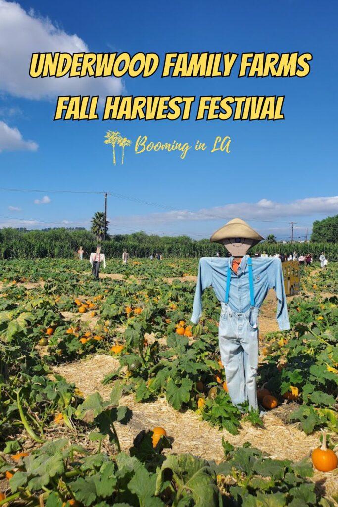 Underwood Family Farms Moorpark, California Fall Harvest Festival