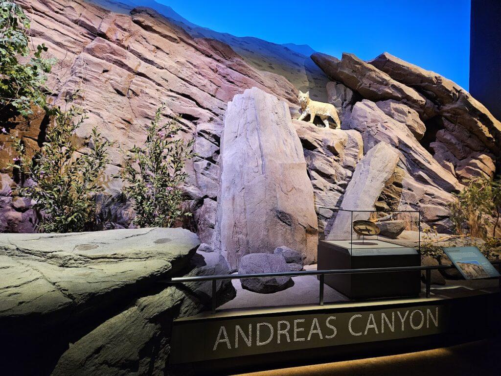 Andreas Canyon displat at Agua Caliente Cultural Museum