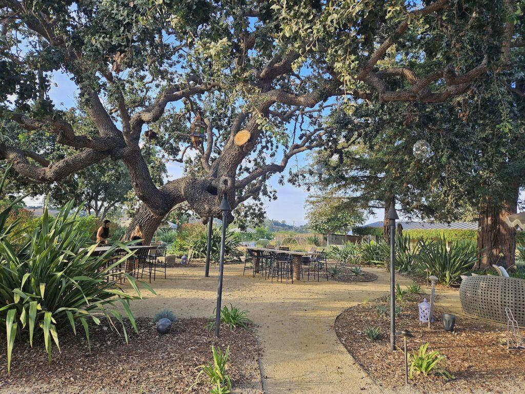 Tree and garden area at Hotel Ynez