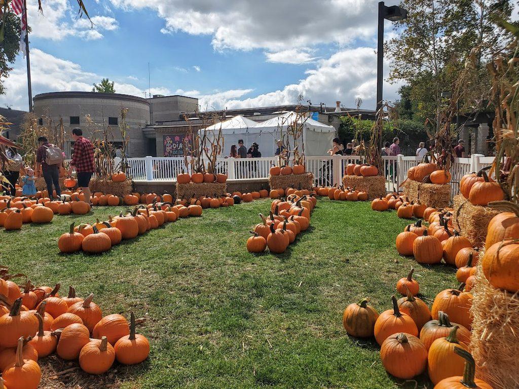 Calabasas Pumpkin Festival